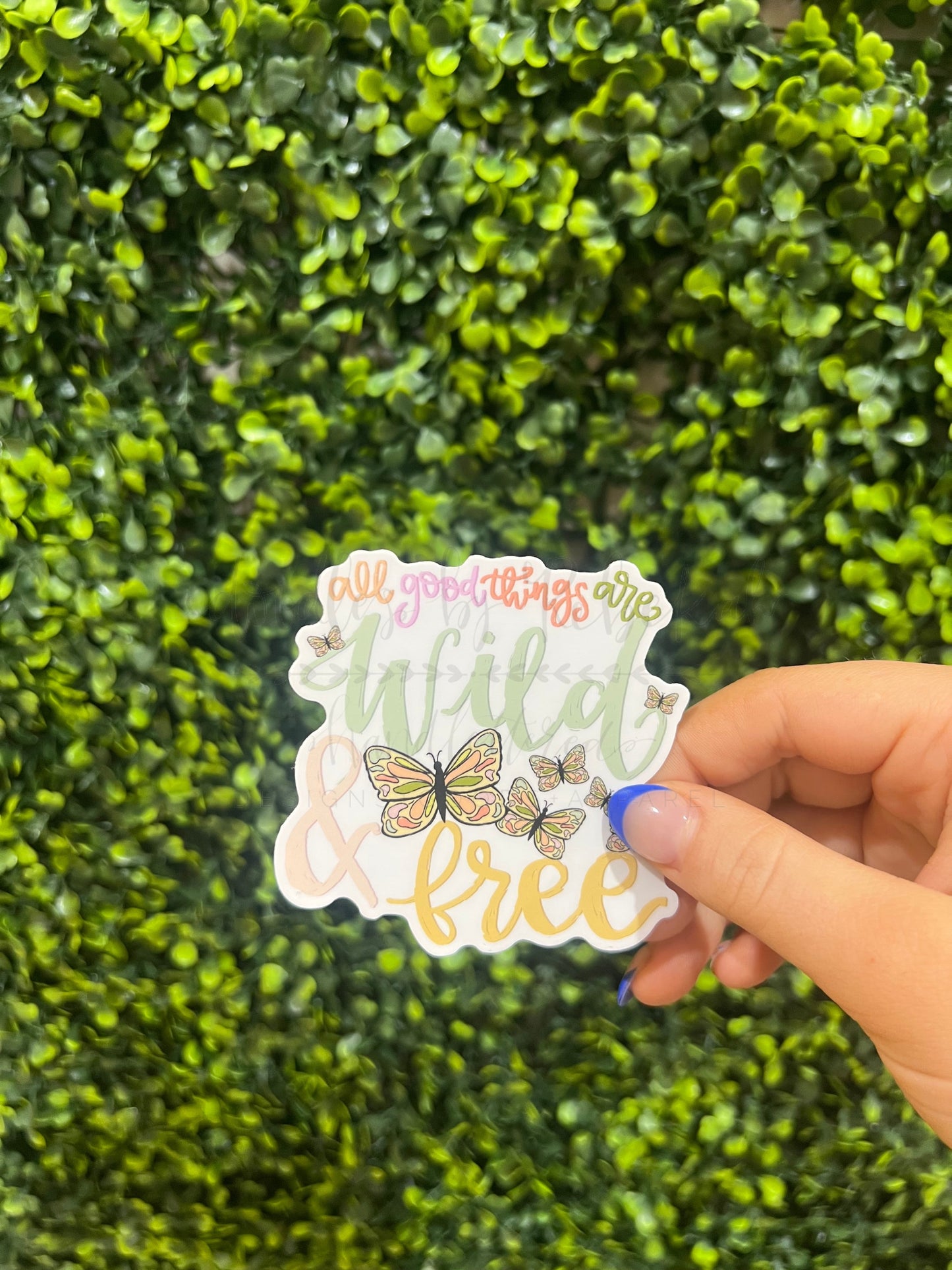 All Things Are Wild & Free Sticker