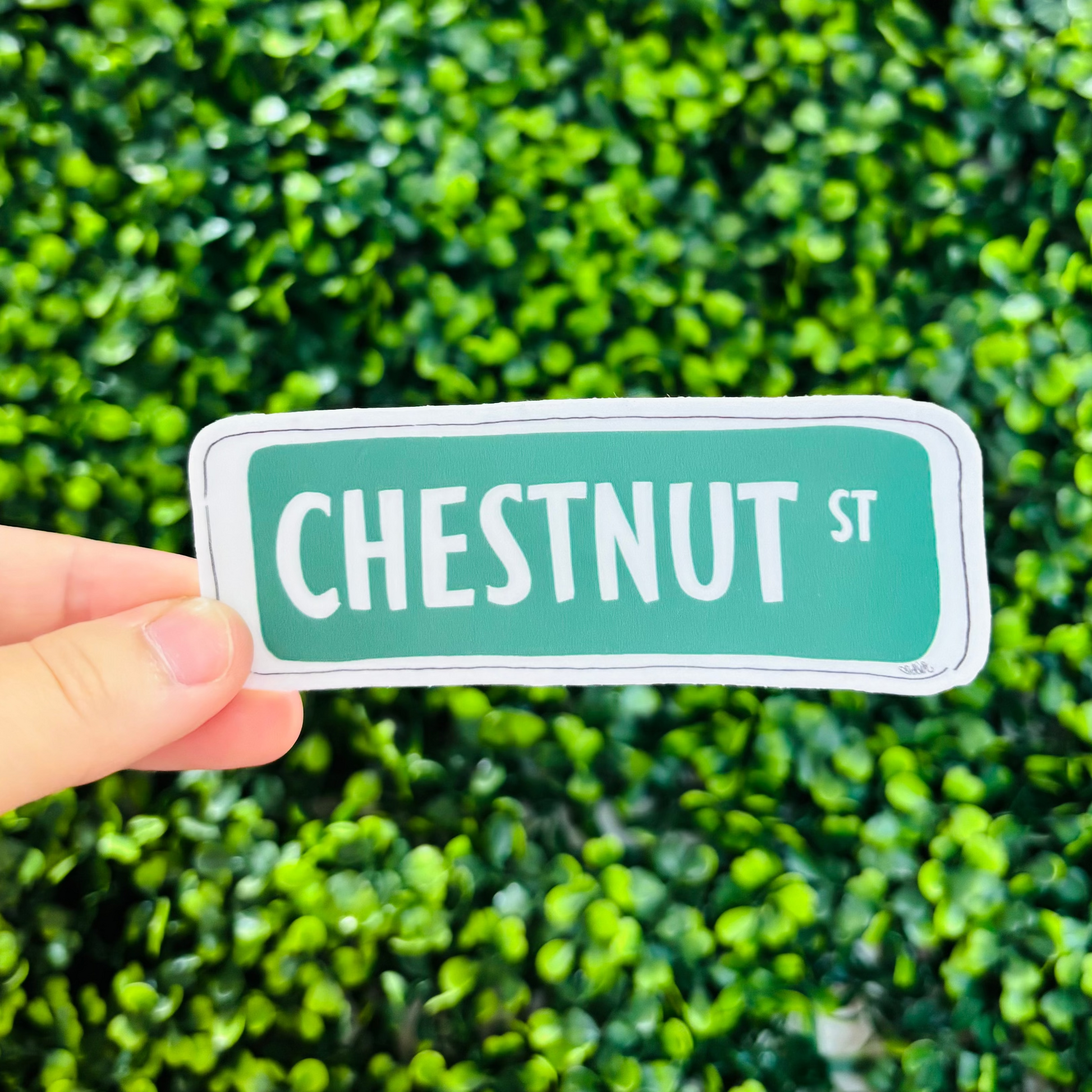 a hand holding a green & white street sign sticker that reads "Chestnut St"