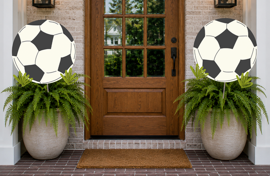 Two potted plants with soccer ball designs in front of a wooden door.