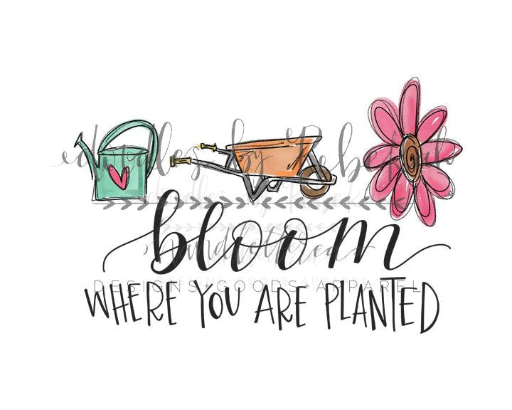 Bloom Where You Are Planted Raglan